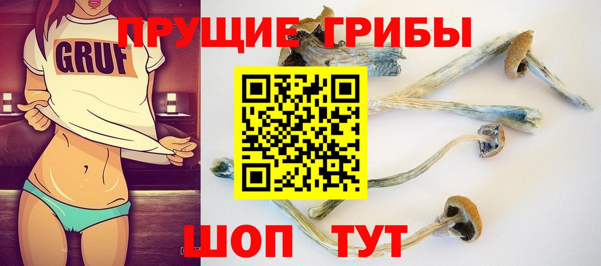 Изобильный  Галлюциногенные грибы MAGIC MUSHROOMS  Вход с VPN  Галлюциногенные грибы Cubensis 